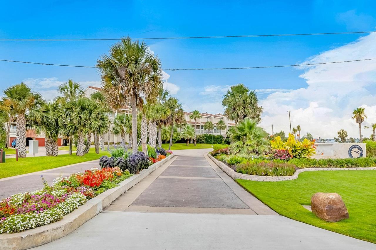 Seagull Cove Villa Galveston Dış mekan fotoğraf
